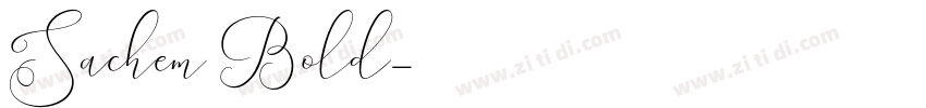 Sachem Bold字体转换